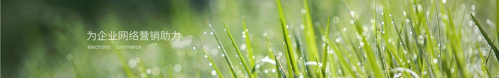 ̫ԭӭ-